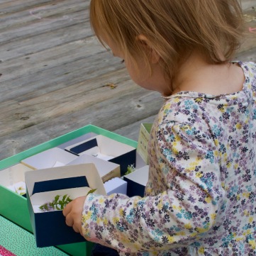 A no-cost DIY activity that encourages your toddles to examine natural objects